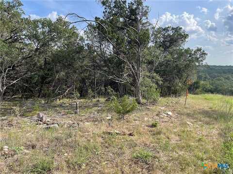 5663 Basilone Ridge, New Braunfels, TX 78132