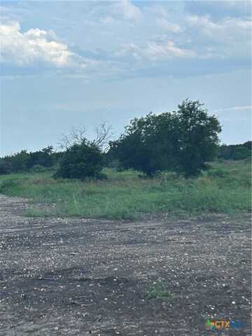 166 Cedar Bluff Loop, Gatesville, TX 76528