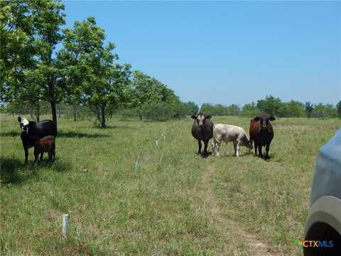 20441 Fm 2268, Holland, TX 76534