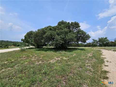 Tbd FM 580 (Tract 67), Lampasas, TX 76550