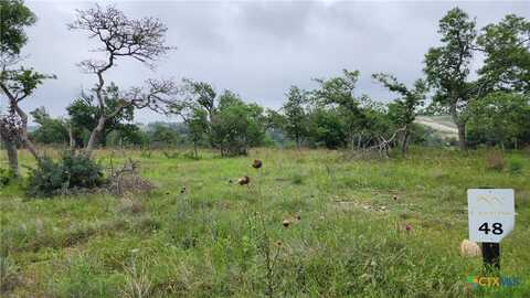 Lot 48 Ridgeline Road, Fredericksburg, TX 78624