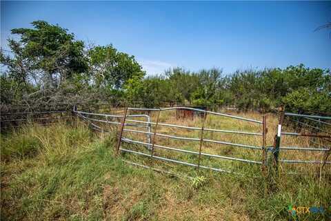 488 Moritz Road, Meyersville, TX 77974