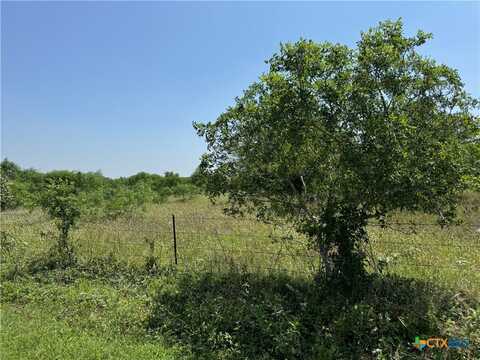 Tbd Steele Branch Lane Tract 3, Stockdale, TX 78160