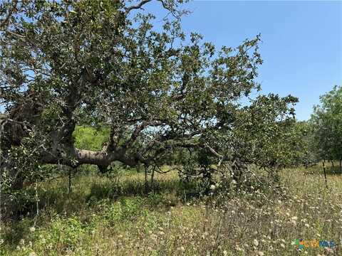 Tbd Steele Branch Lane Tract 2, Stockdale, TX 78160