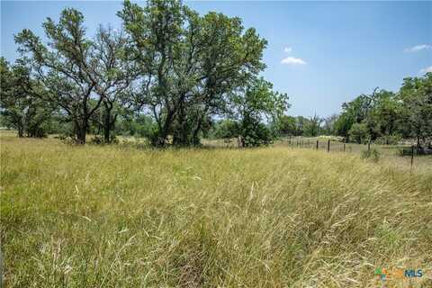 142 Steel Creek Crest, OTHER, TX 78010