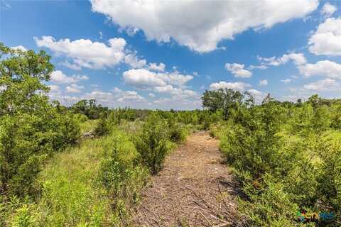 111 Hard Bargain Drive, Gatesville, TX 76528