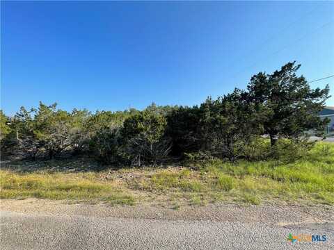 320 Ridgewood Trail, Canyon Lake, TX 78133