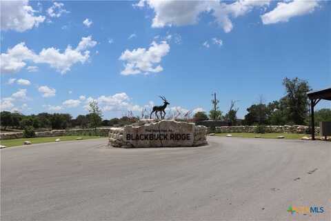 003 Sable Pass, Lampasas, TX 76550