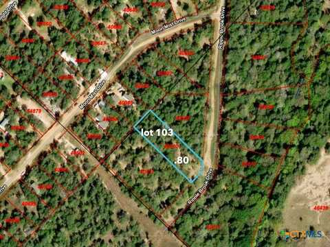 0 Tbd Lot 103 Ripple Brook Dr., Bastrop, TX 78602