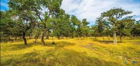 Lot 3 Scott Branch Road, Harper, TX 78631