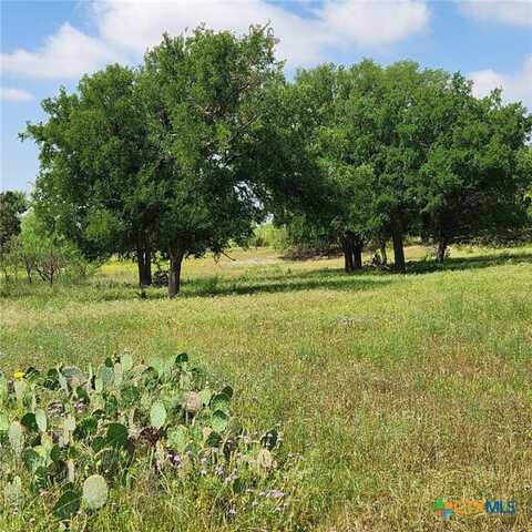 Tbd FM 2313, Kempner, TX 76539