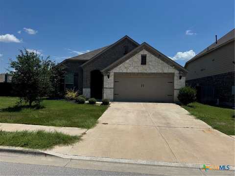 115 Brazil Drive, Buda, TX 78610