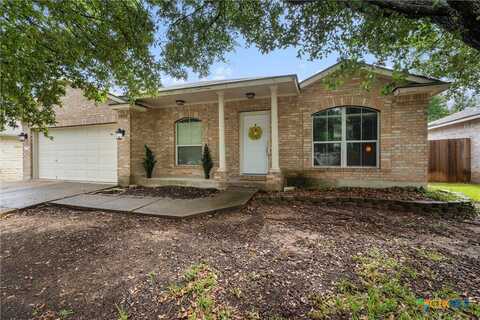 3238 Arroyo Bluff Lane, Round Rock, TX 78681