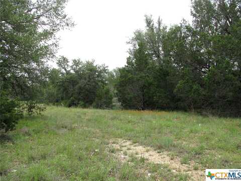 Tbd PR42107, Evant, TX 76525