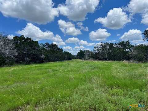 Lot 12 Riparian Elm Road, Bertram, TX 78605