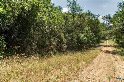 Lot 650 Kaukonahua Lane, Bastrop, TX 78602