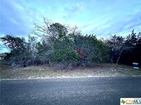 Lot 019a Hodge Canyon Drive, Salado, TX 76571