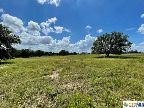 0 RIDGEHAVEN Trail, Victoria, TX 77905