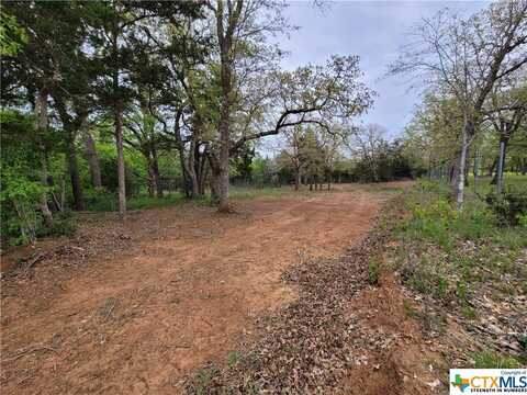 160 Arbor Hill Way, Cedar Creek, TX 78612