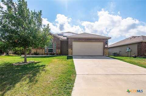 1217 Roanoke Drive, Temple, TX 76504