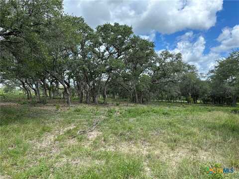 1776 FM 1351, Goliad, TX 77963