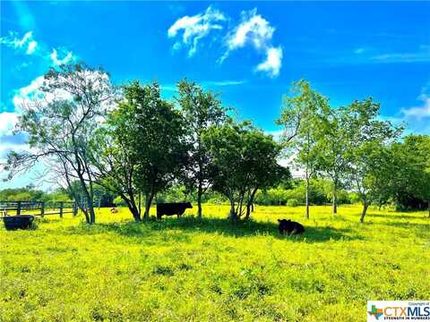 430 Broadhead Trail, Luling, TX 78648