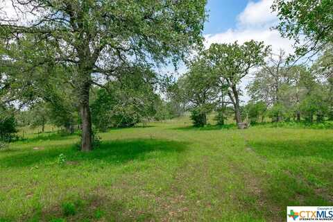 1890 Sandy Fork Road, Harwood, TX 78632