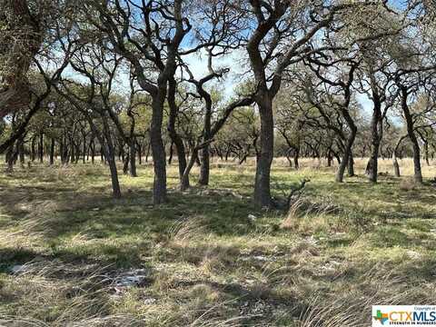 Lot 142a Oryx Lane, Lampasas, TX 76550