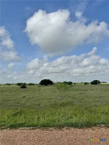 Tbd Salt Grass Lane, Victoria, TX 77904