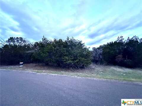 Lot 020b Hodge Canyon Drive, Salado, TX 76571