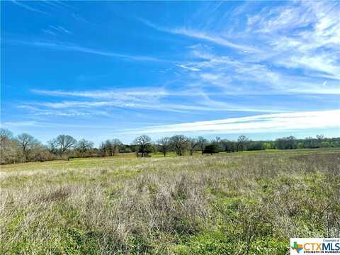 Tbd Lot 15 Gander Slough, Kingsbury, TX 78638