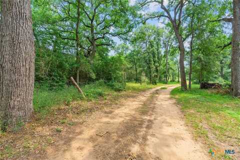 3175 Silver Mine Road, Dale, TX 78616