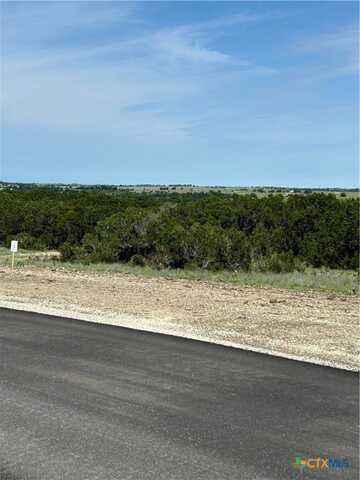 117 Cedar Bluff Loop, Gatesville, TX 76528