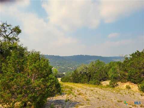 568 Buck Tr Trail, Canyon Lake, TX 78133