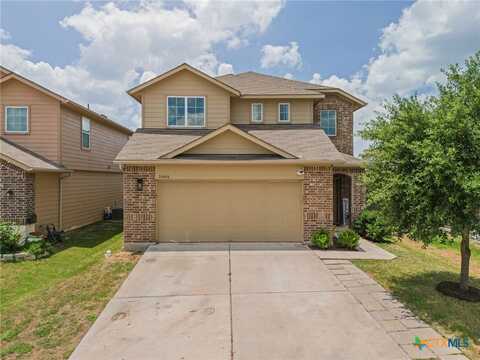 14406 Callan Court, Manor, TX 78653