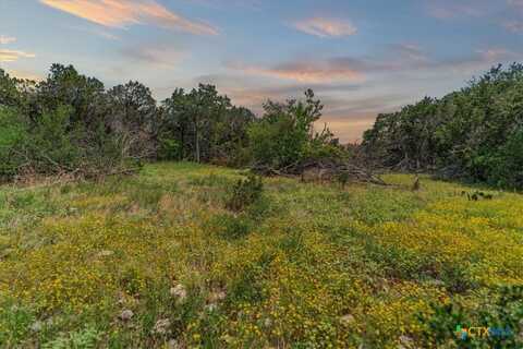 1001 Bluff View Road, Wimberley, TX 78676