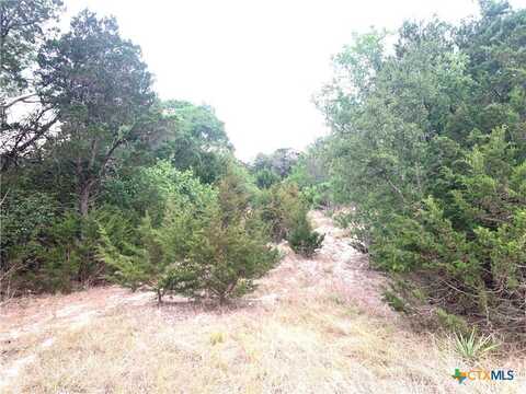 0 Firefly Road, Florence, TX 76527