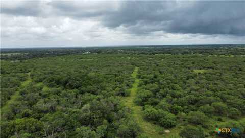 1382 Old Fannin Road, Goliad, TX 77963