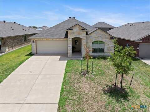 1305 Juneberry Park Drive, Temple, TX 76502