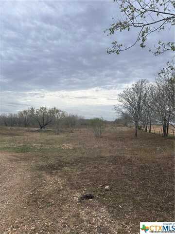 3434 County Road 463, Stockdale, TX 78160