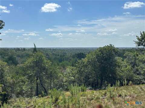 Tbd Sandy Fork Road, Harwood, TX 78632