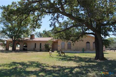 132 County Road 4765, Kempner, TX 76539