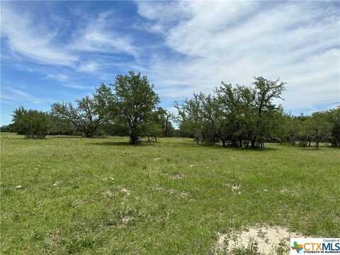 Tract 58c-6 Bryce Trail, Briggs, TX 78608