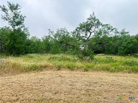 Lot 10 Wisteria Lane, Smiley, TX 78159