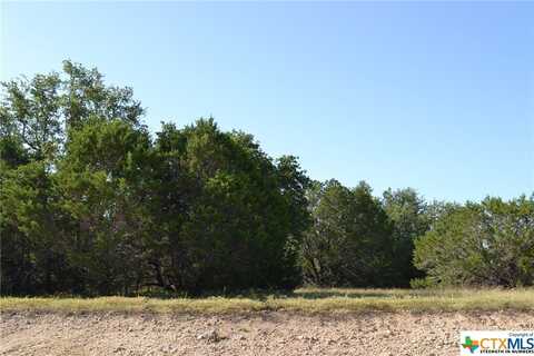 Block 7,Lot 14 Lampasas River Place Phase Two, Kempner, TX 76539