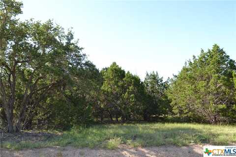 Block 7,Lot 16 Lampasas River Place Phase Two, Kempner, TX 76539