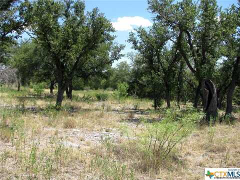 Tbd PR 4218, Evant, TX 76525