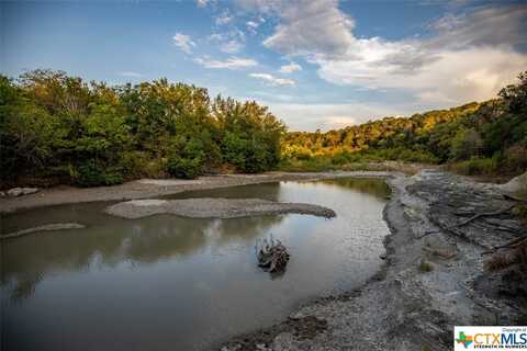 124 Sea Smoke Cove, Liberty Hill, TX 78642