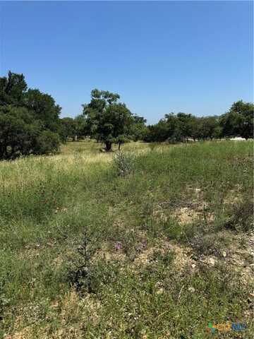 Tbd Fm-1107, Stockdale, TX 78160