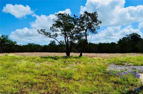 Lot 16 Riparian Elm Road, Bertram, TX 78605